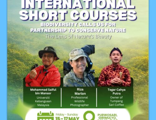 INTERNATIONAL SHORT COURSES 2026
